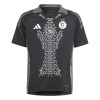 Officiële Voetbalshirt Nigeria 2024 Zwarte - Heren